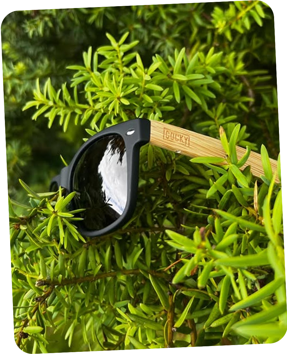 cocky sunglasses in greenery